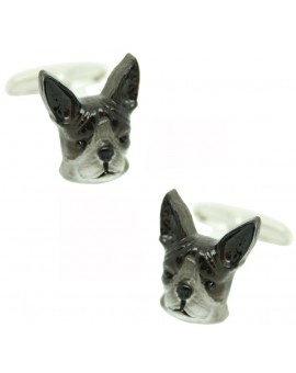 Gemelos Boston Terrier